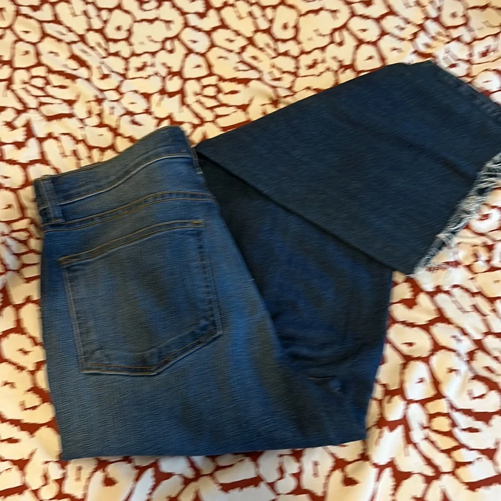 NWT Pistola x Revolve Cher High Rise Wide Leg CroppedRaw hem jeans women size 27